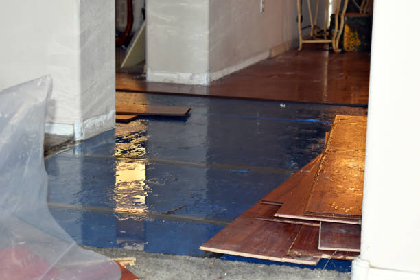Professional Burst Pipe Cleanup technician working in Block Island, RI